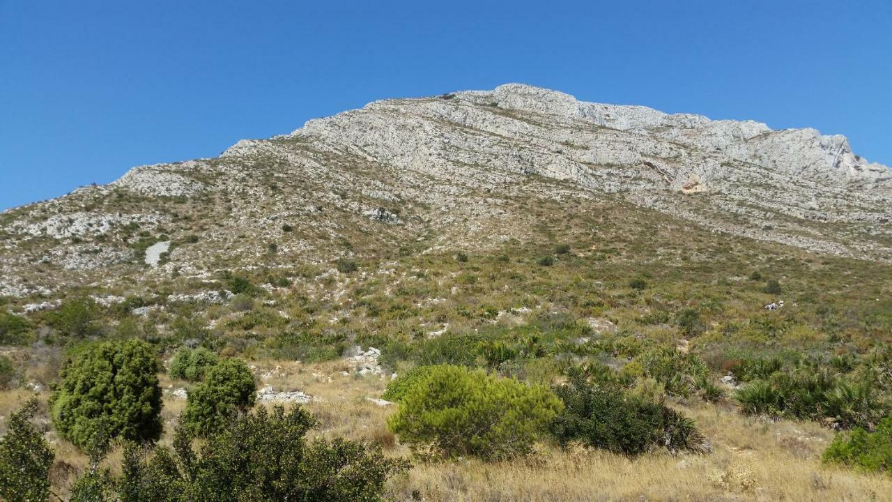 - La Isla Appartement
